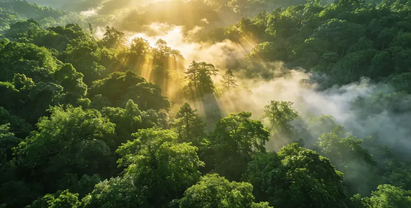 六安肺癌68基因检测图片1